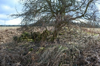 Clipstone Peel Gatehouse, Beeston Lodge, Sherwood Forest