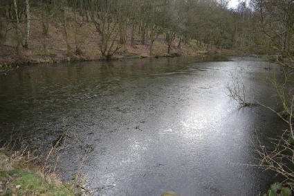 Spa Ponds, Forest Town Sherwood Forest