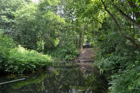 Spa Ponds Medieval Dam Sherwood Forest