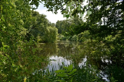 Spa Ponds Sherwood Forest Medieval