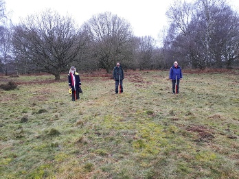 Linear Bank on Budby South Forest - Archaeology in Sherwood Forest