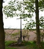 St Edwin's Chapel Archaeology Sherwood Forest