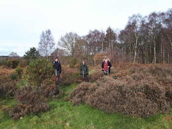 Military Pit, Budby South Forest - Archaeology in Sherwood Forest