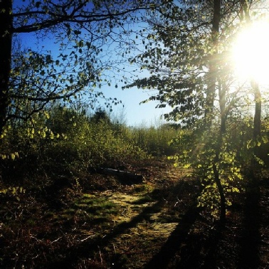 Photograph: The summit of Thynghowe © Mercian Archaeological Services CIC 