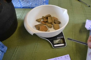 Weighing Medieval pottery Sherwood Forest Archaeology Project