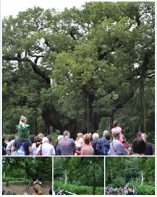 Robin Hood Sherwood Forest Community Archaeology Nottinghamshire Mercian Archaeological Services 